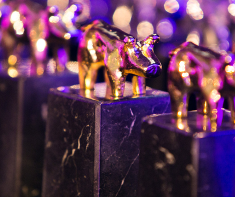 Finalistas en los Premios Porc d'Or 2018